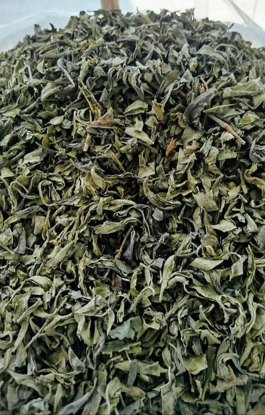 چای سبز قلم لیزری