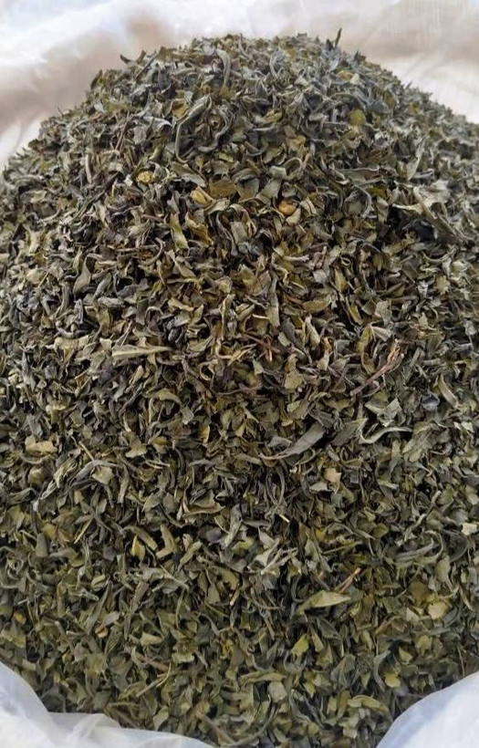 چای سبز زرین