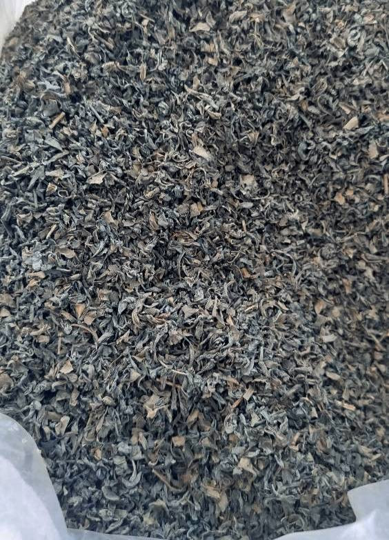چای سبز ساچمه ای